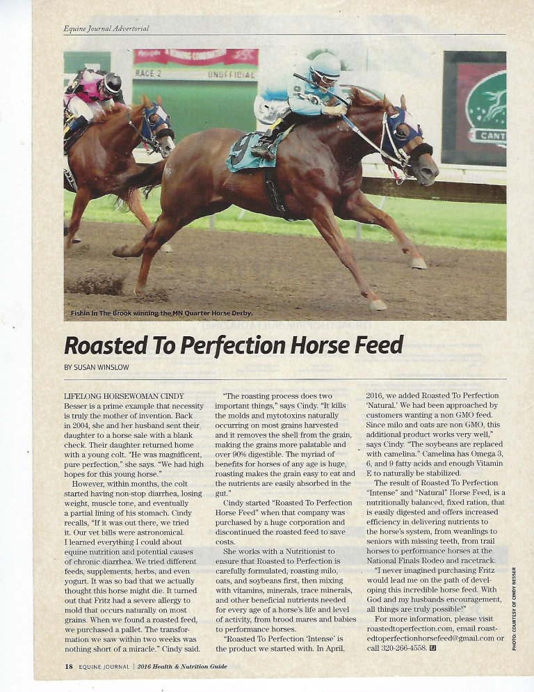 Equine Journal