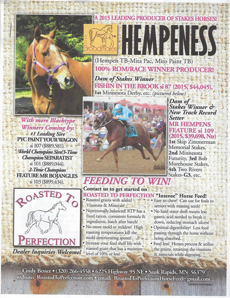 Speed Horse Broodmare Stekes Winner
